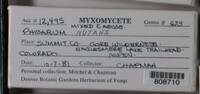 Image Associated With the Occurence